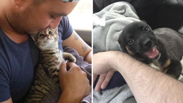 Animales ven con ojos amor dueños