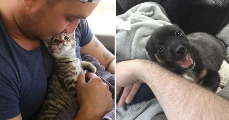 Animales no pueden parar de ver con ojos de amor a sus dueños