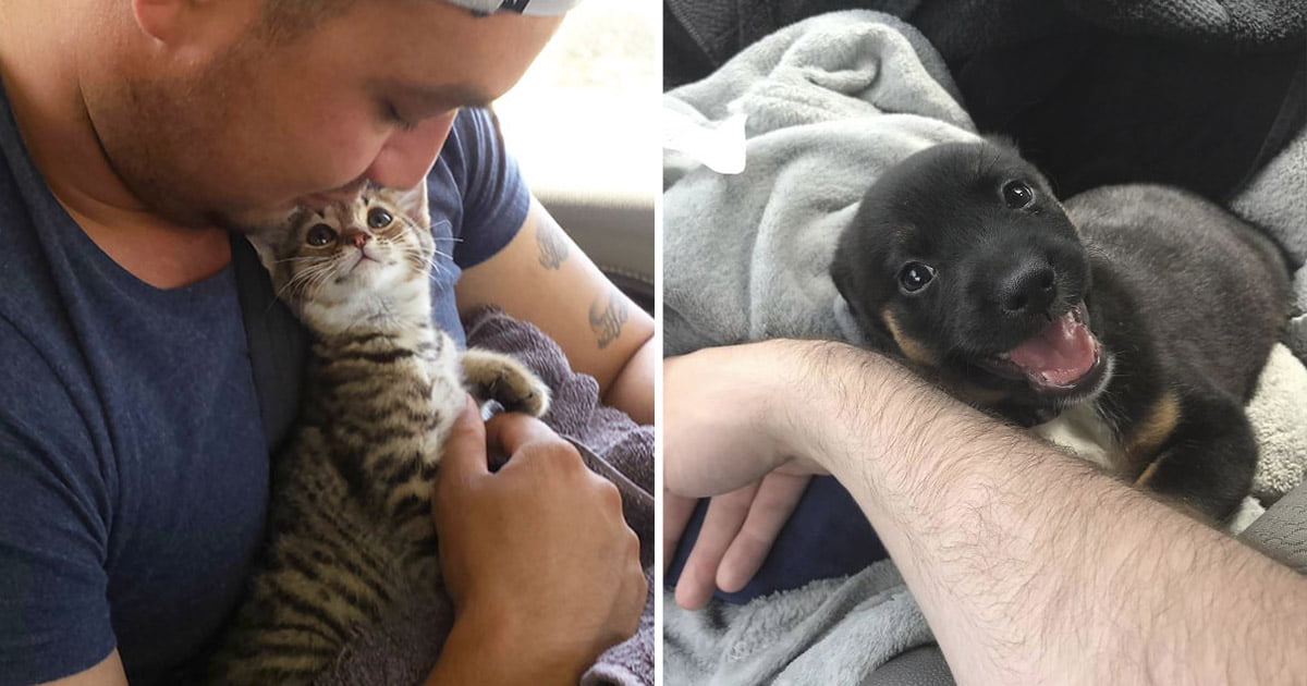Animales ven con ojos amor dueños