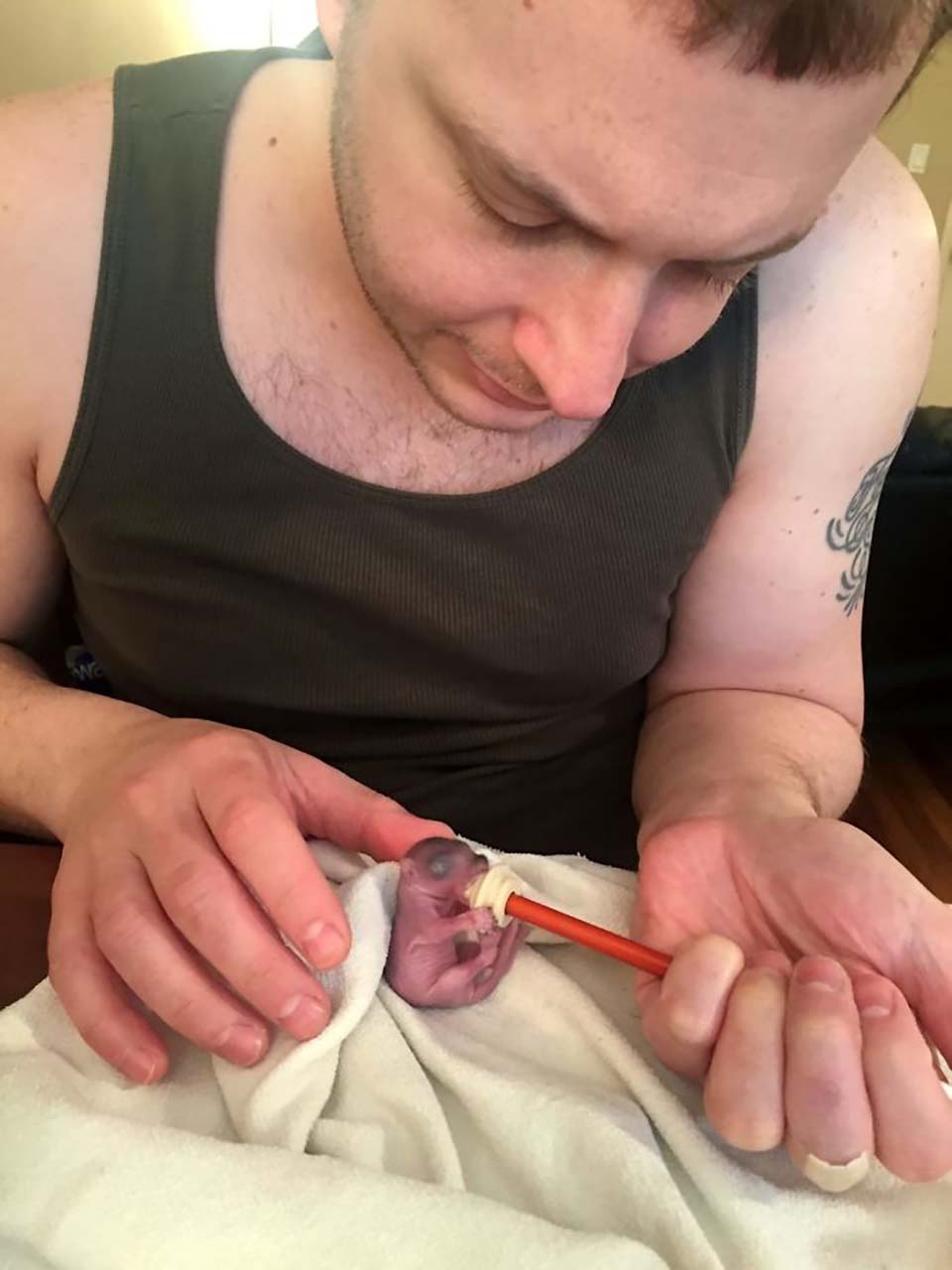 Hora de comer