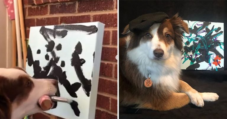 Perro ‘pintor’ vende sus cuadros para recaudar dinero para la caridad