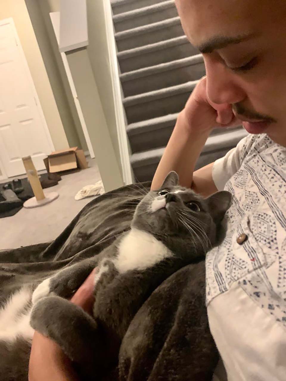 gata mira a papá con ojos de amor