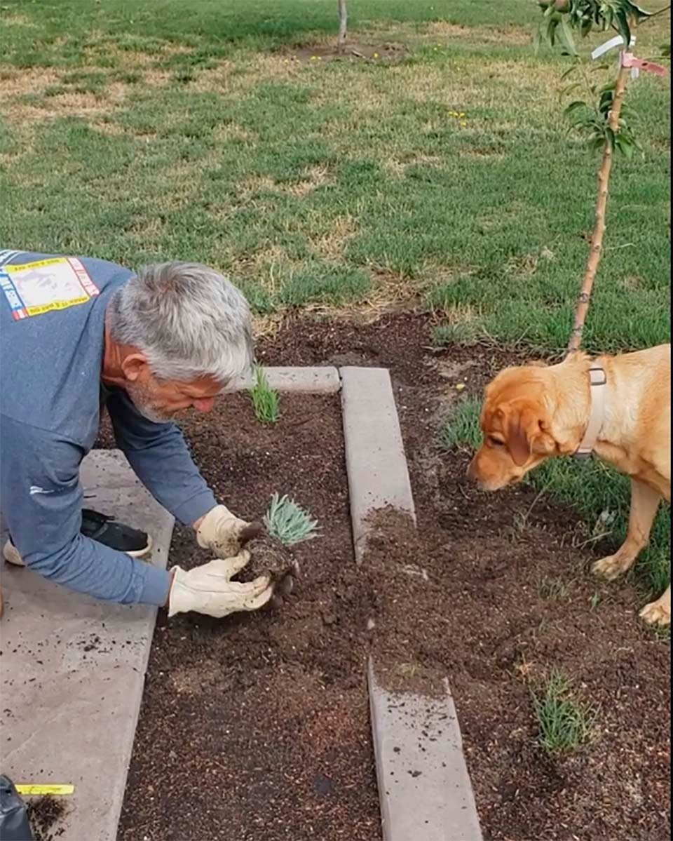 jardinero y su perro