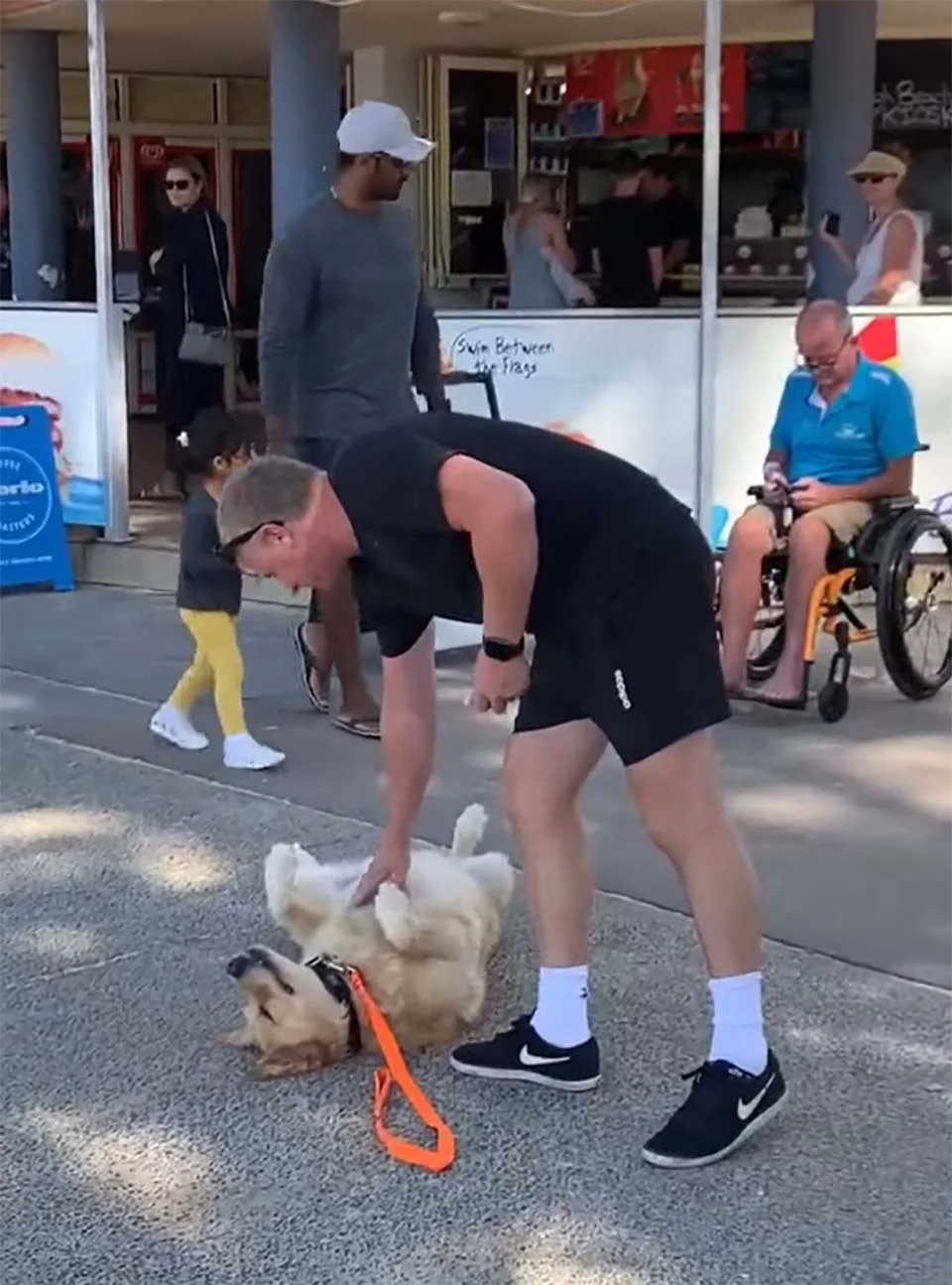 Adorable perro se hace el muerto para no tener que abandonar el parque 1 perrito se hace el muerto
