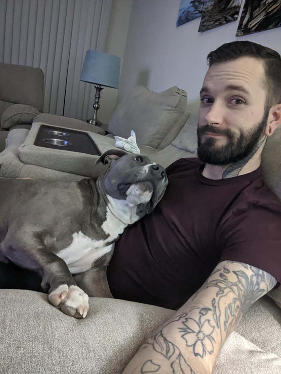 perro observa a papá
