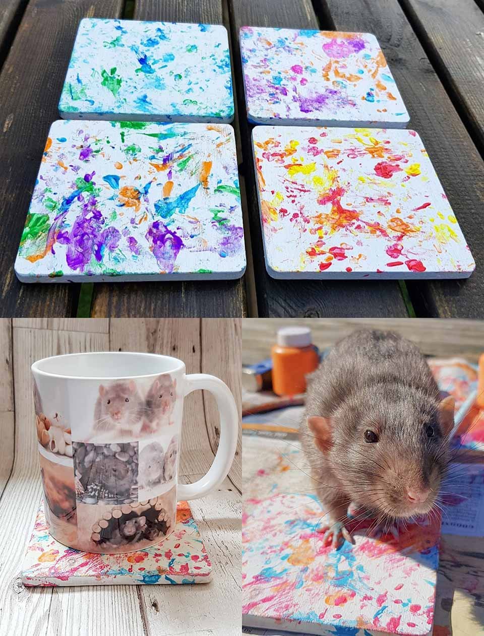 Arte creado por ratas