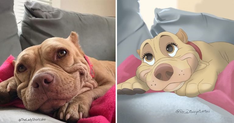 Artista convierte las fotos de mascotas en ilustraciones al estilo de Disney