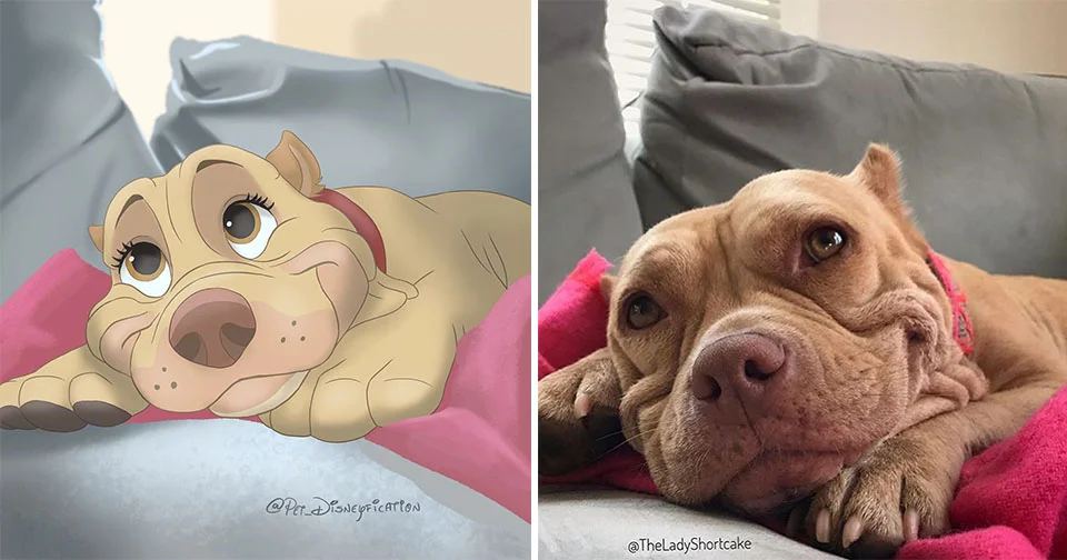 Fotos de mascotas hermosas