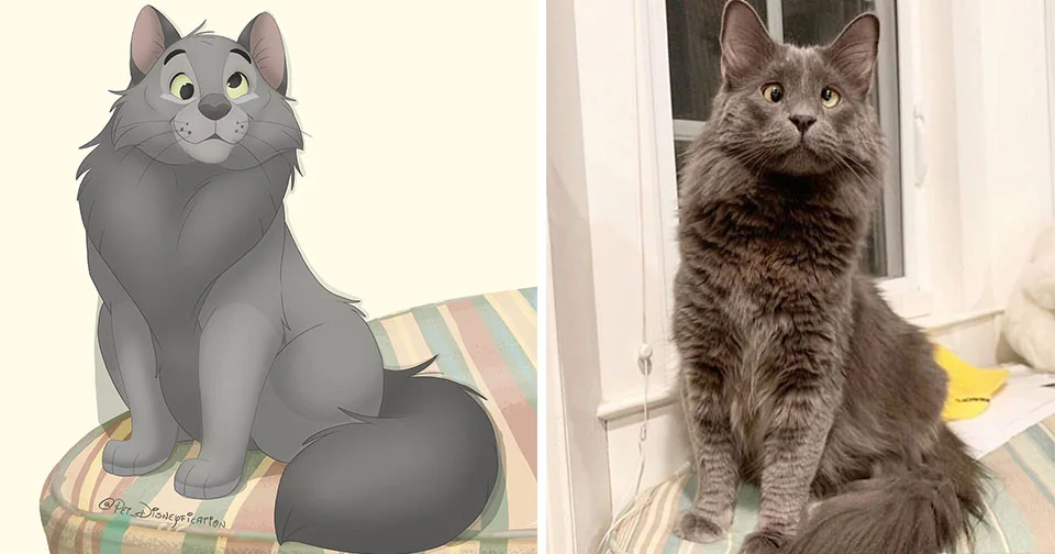 Fotos de mascotas adorables