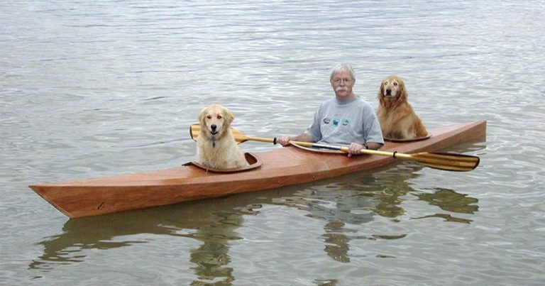 Hombre construyó un kayak personalizado para poder llevar a sus perros de aventuras
