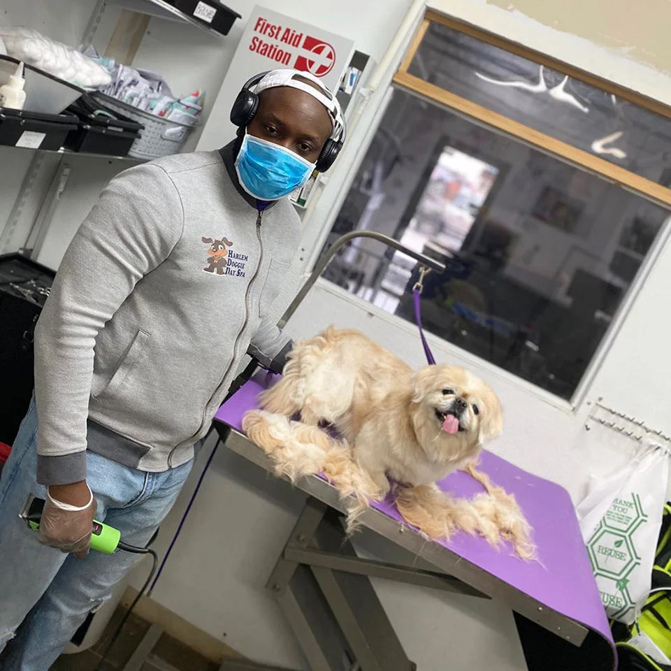 Peluquero ofrece servicio gratuito a mascotas de familias afectadas por la pandemia 5 Peluquero realiza aseo gratuito a mascotas