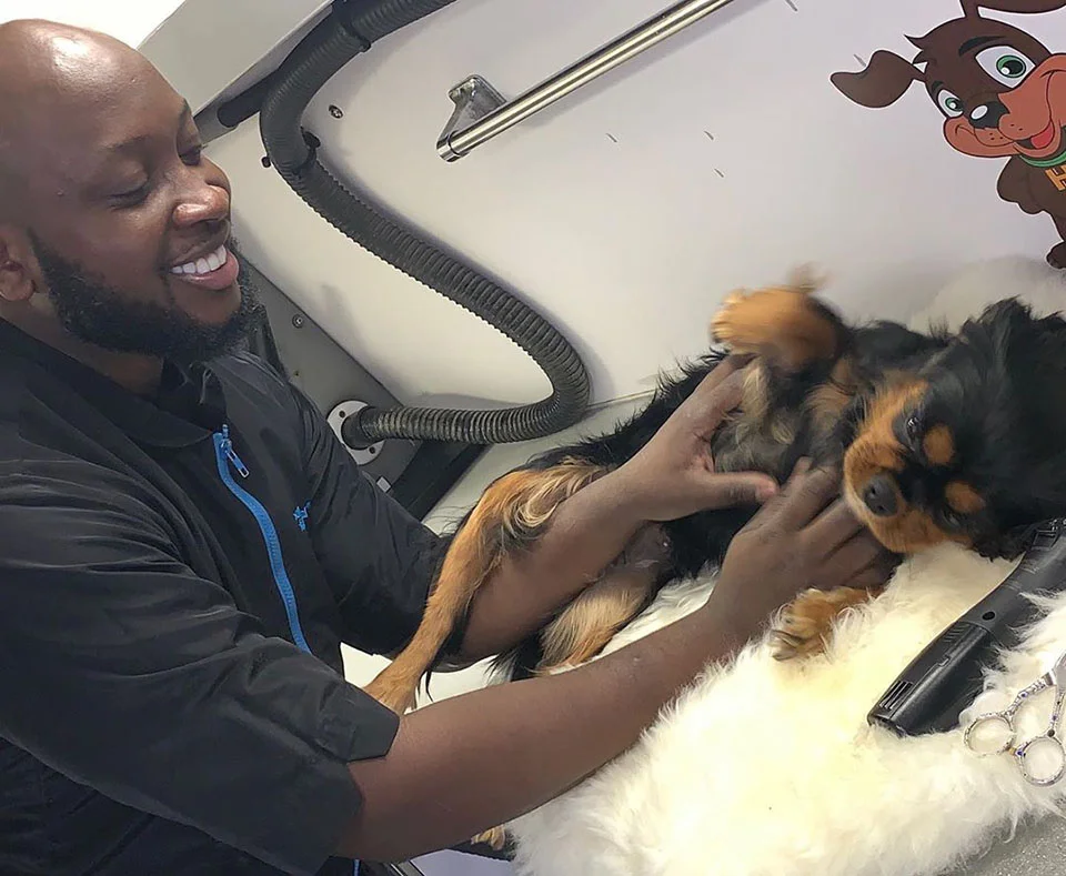 Peluquero ofrece servicio gratuito a mascotas de familias afectadas por la pandemia 8 Peluquero canino realiza aseo gratuito a mascotas