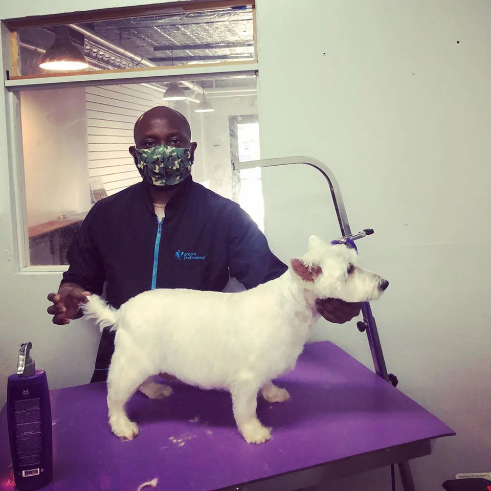 Peluquero ofrece servicio gratuito a mascotas de familias afectadas por la pandemia 3 Peluquero de mascotas realiza aseo gratuito