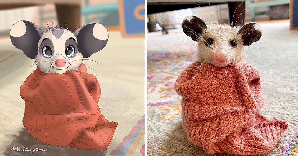 Pequeño ratoncito
