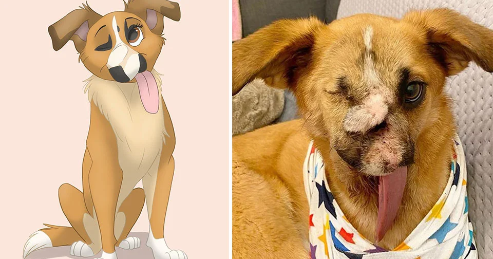 Perrito con rostro desfigurado