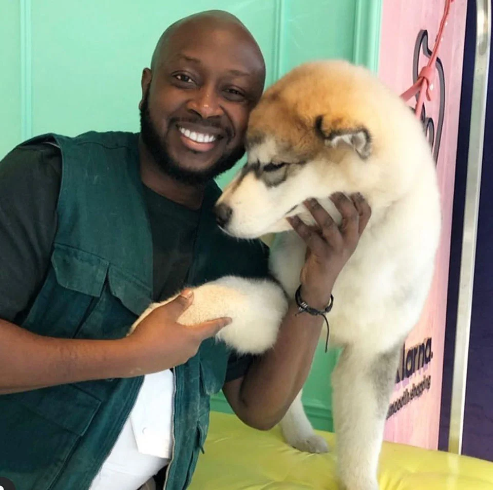 Peluquero ofrece servicio gratuito a mascotas de familias afectadas por la pandemia 4 Perro y peluquero