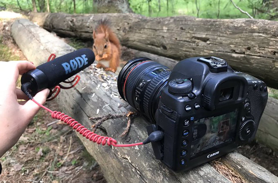 Fotógrafa captura los adorables sonidos de una ardilla bebé comiendo 3 Ardilla bebé comiendo