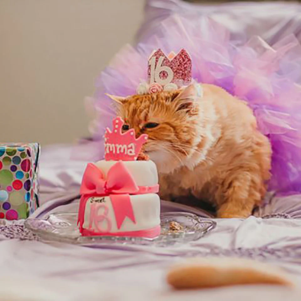Cumpleaños 16