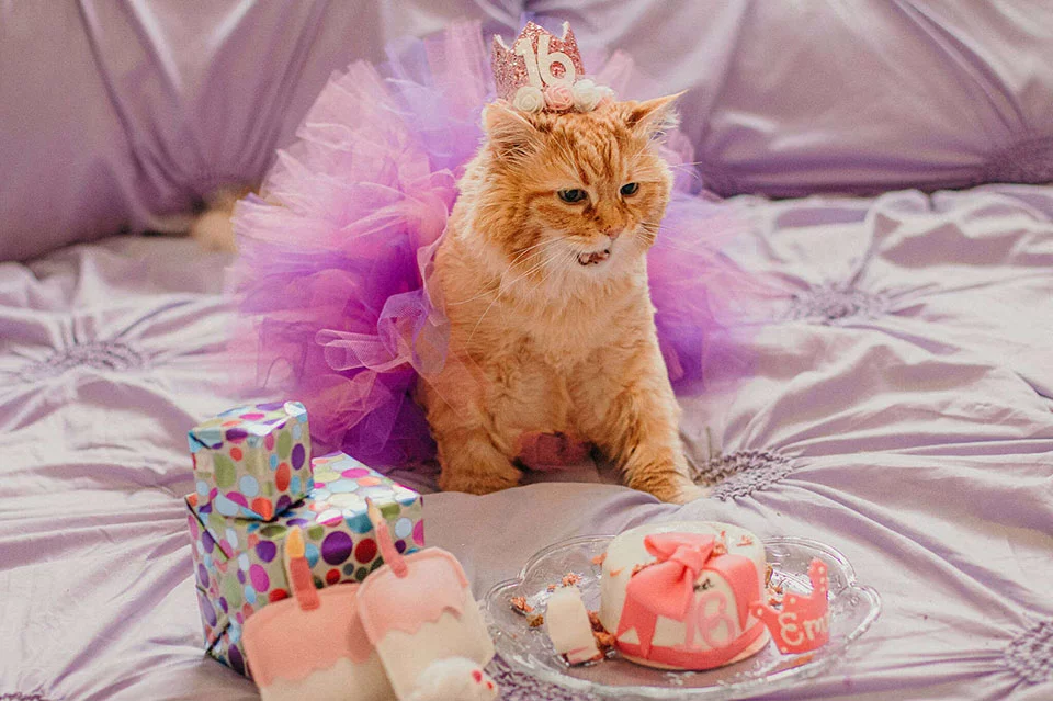 Emma birthday