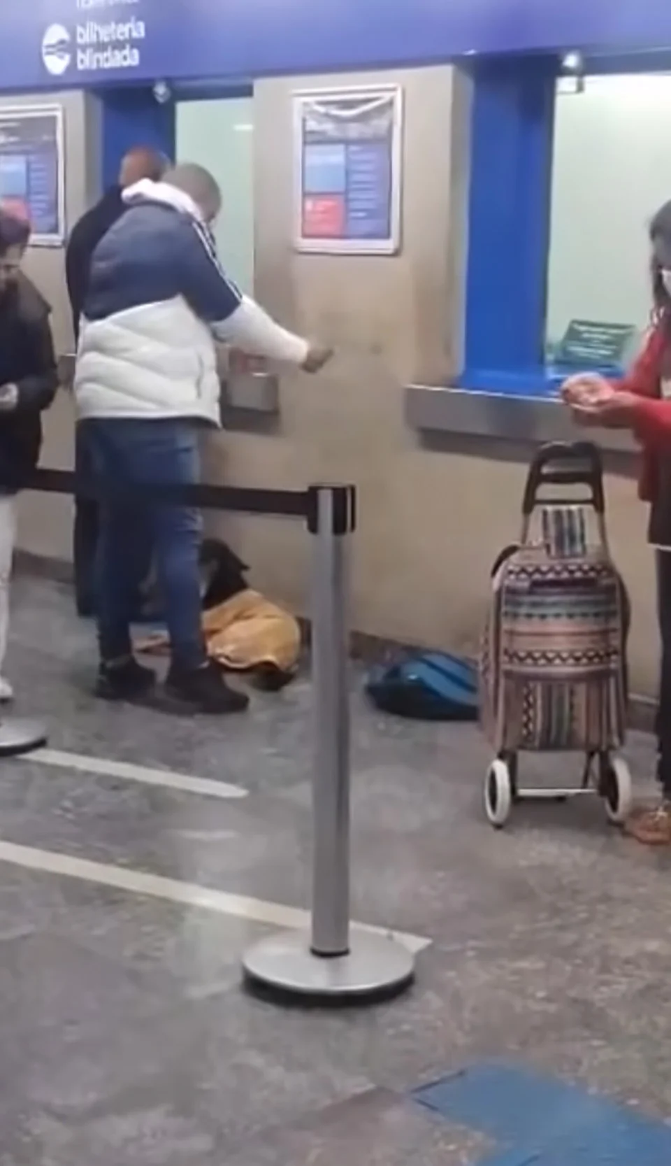 Hombre da su camiseta a perro sin hogar