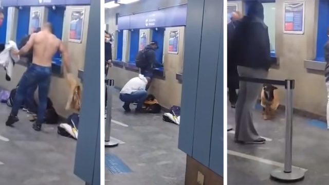 Hombre se quita la camiseta y se la da a un perro sin hogar que tenía fríoHombre se quita la camiseta y se la da a un perro sin hogar que tenía frío