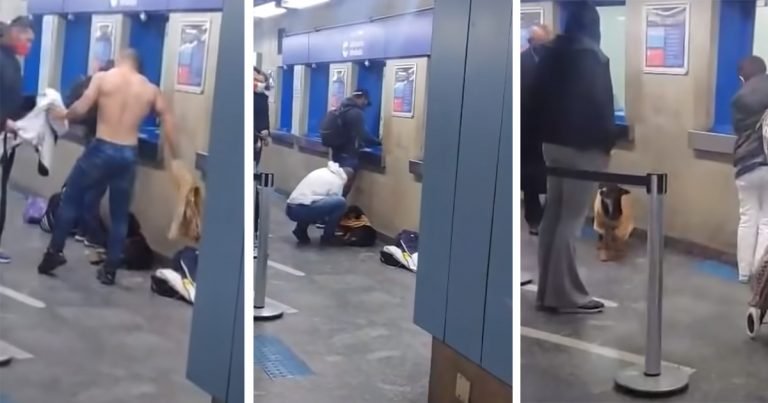 Hombre se quita la camiseta y se la da a un perro sin hogar que tenía frío