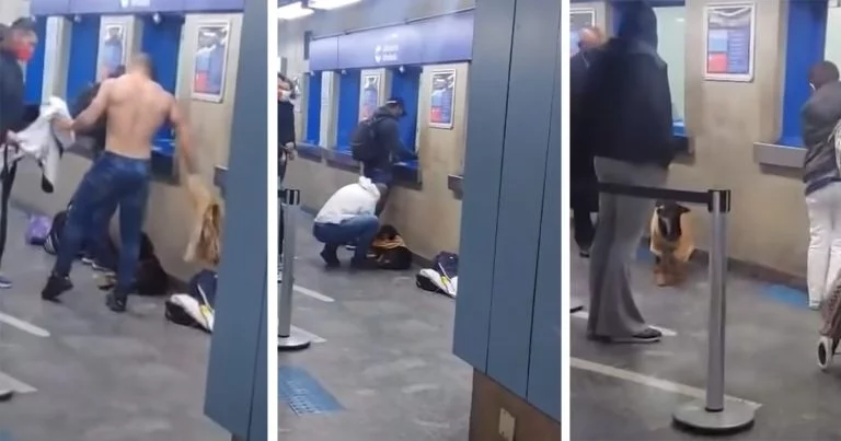 Hombre se quita la camiseta y se la da a un perro sin hogar que tenía frío
