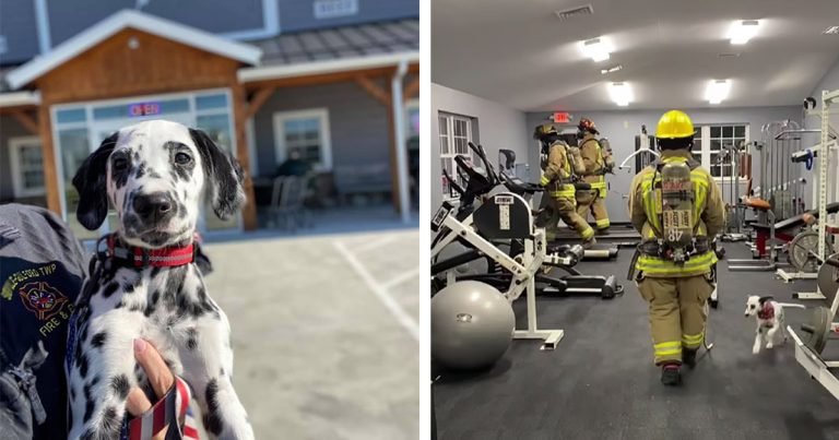 Cachorro de una estación de bomberos no quiere que los bomberos hagan ejercicio sin él