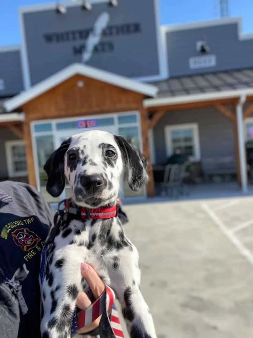 Cachorro de una estación de bomberos no quiere que los bomberos hagan ejercicio sin él 2 Cachorro travieso de estación de bomberos