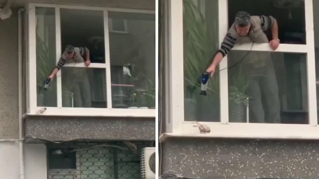 Hombre hace todo lo posible para calentar a una paloma temblando fuera de su ventana