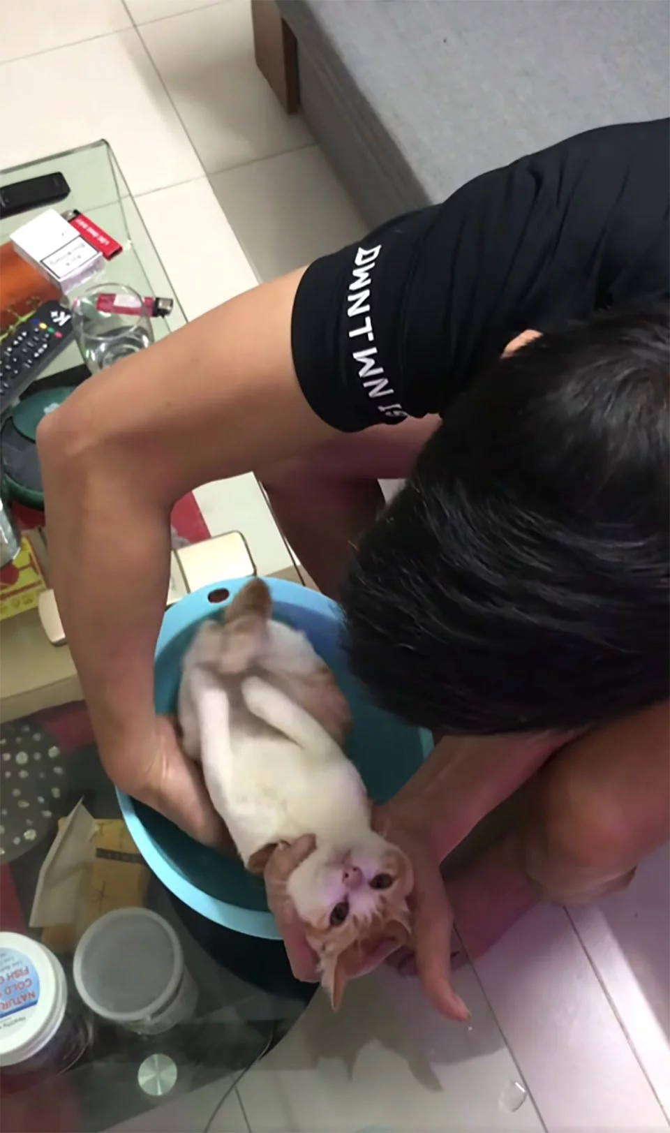 Abuelo y su gatito rescatado dan una adorable lección sobre cómo bañar a un bebé 2 Abuelo enseña a bañar un bebé con su gato