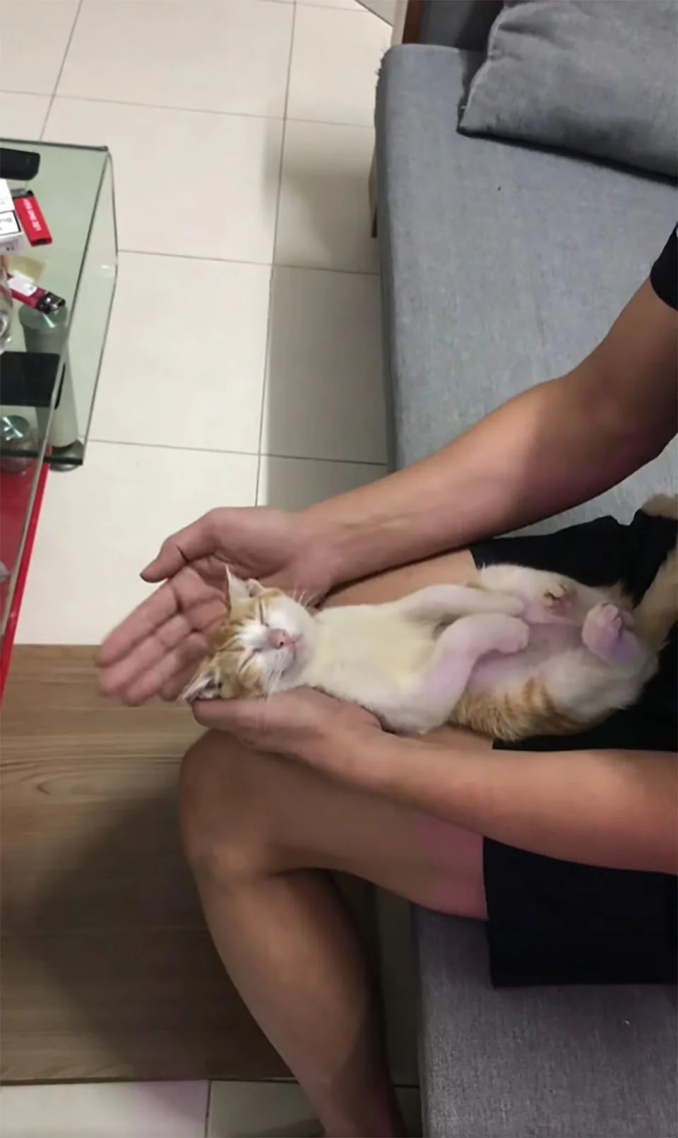 Abuelo y su gatito rescatado dan una adorable lección sobre cómo bañar a un bebé 4 Abuelo y gatito