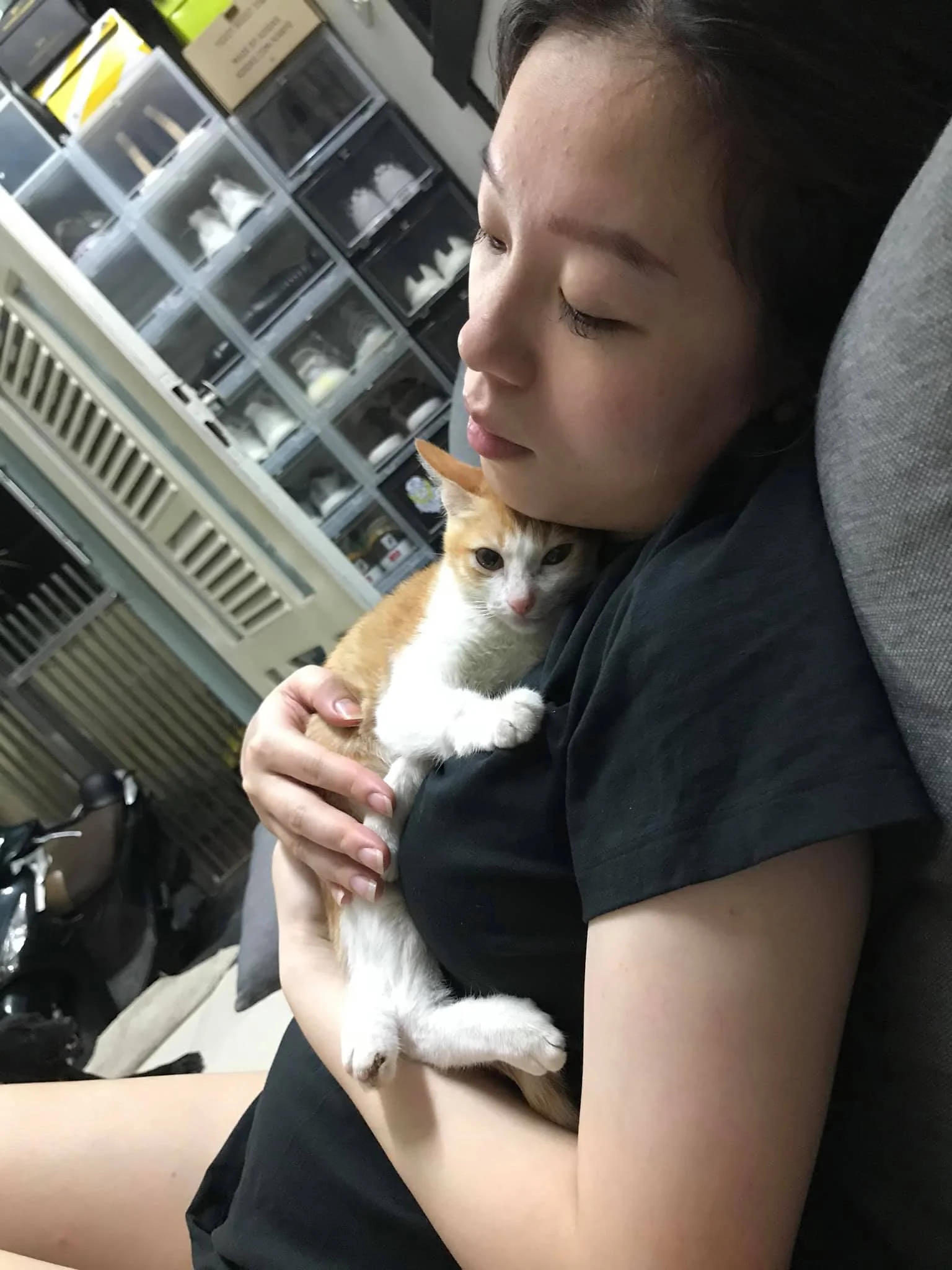 Abuelo y su gatito rescatado dan una adorable lección sobre cómo bañar a un bebé 3 Adorable gatito rescatado