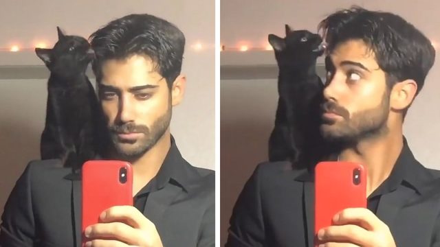 Dulce gato ayuda a su papá a verse mejor antes de una gran cita