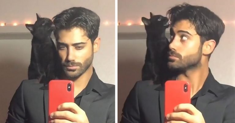 Dulce gatita ayuda a su papá a verse mejor antes de una gran cita