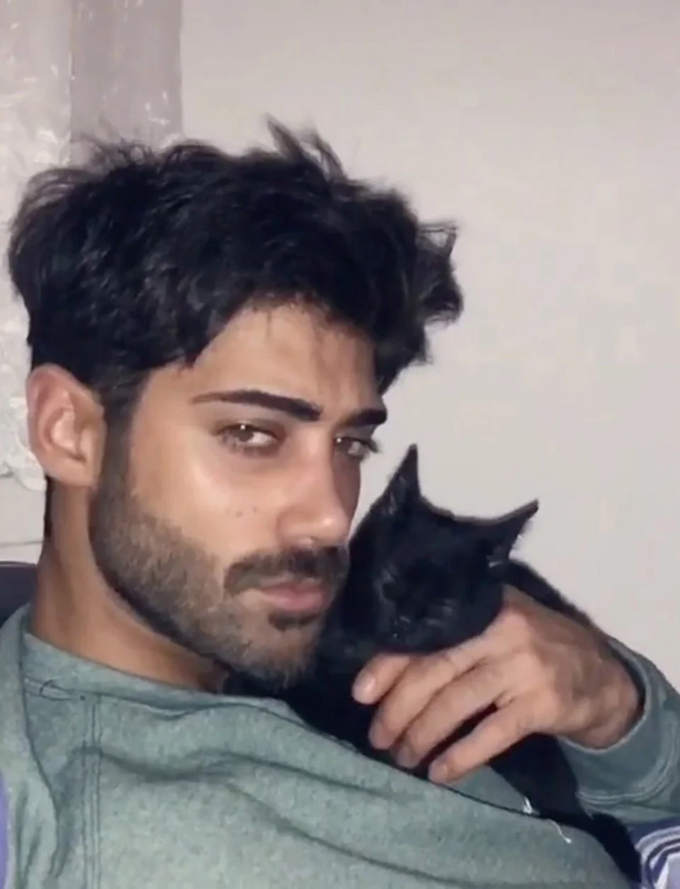 Dulce gato y su humano