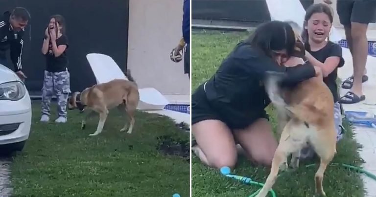Niñas lloran de emoción al ver que su perro desaparecido finalmente está en casa