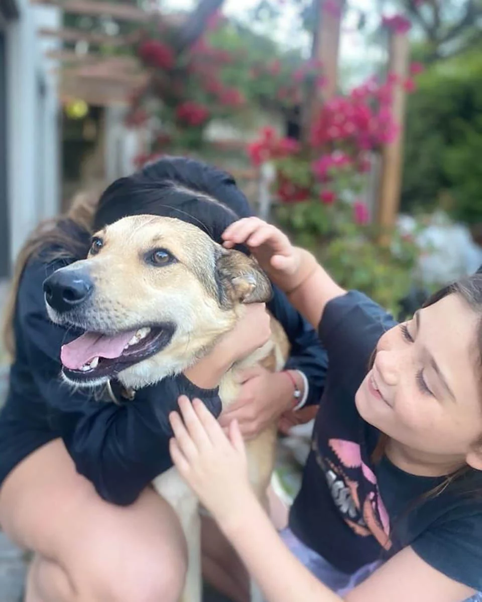 Niñas lloran de emoción al ver que su perro desaparecido finalmente está en casa 1 Perro desaparecido regresa a casa
