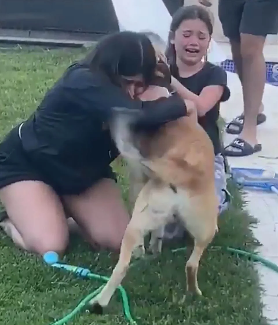 Niñas lloran de emoción al ver que su perro desaparecido finalmente está en casa 2 Perro desaparecido