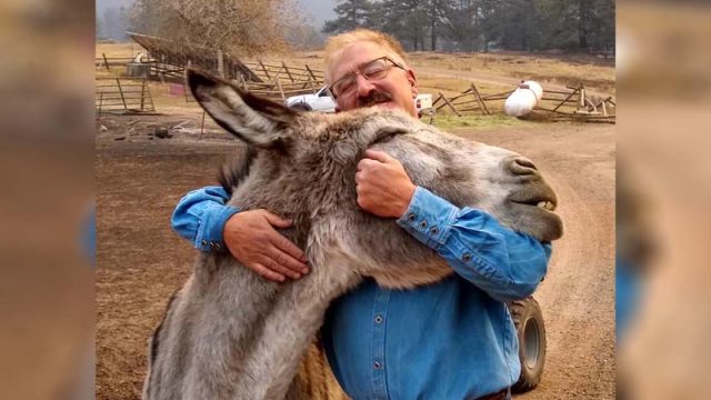 Hombre y burro se reúnen después de separarse por un incendio forestal