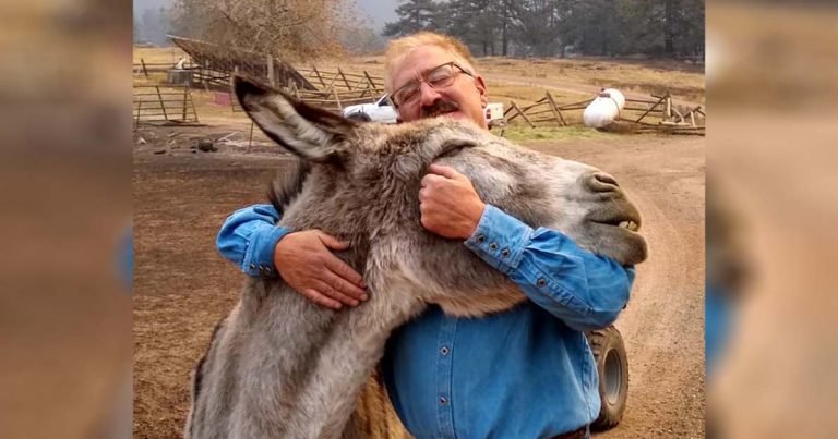 Hombre y burro se reúnen con alegría después de separarse durante un incendio forestal