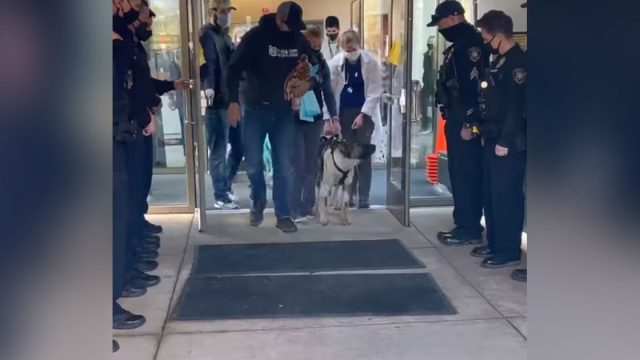 Oficial K9 recibe saludo de héroe