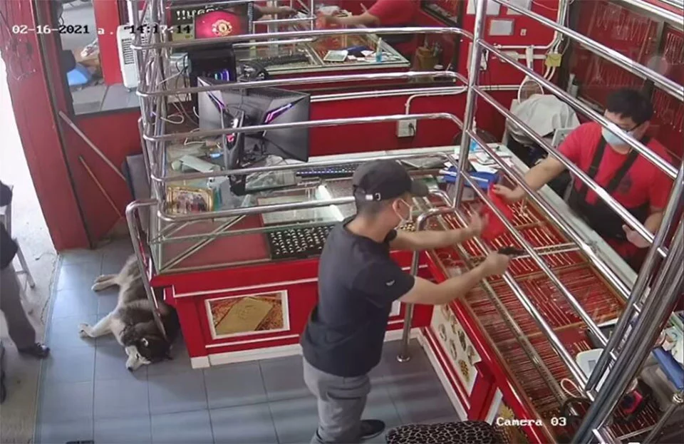 Adorable husky duerme durante un "robo" a una joyería tailandesa 4 Perrita guardiana ignoró