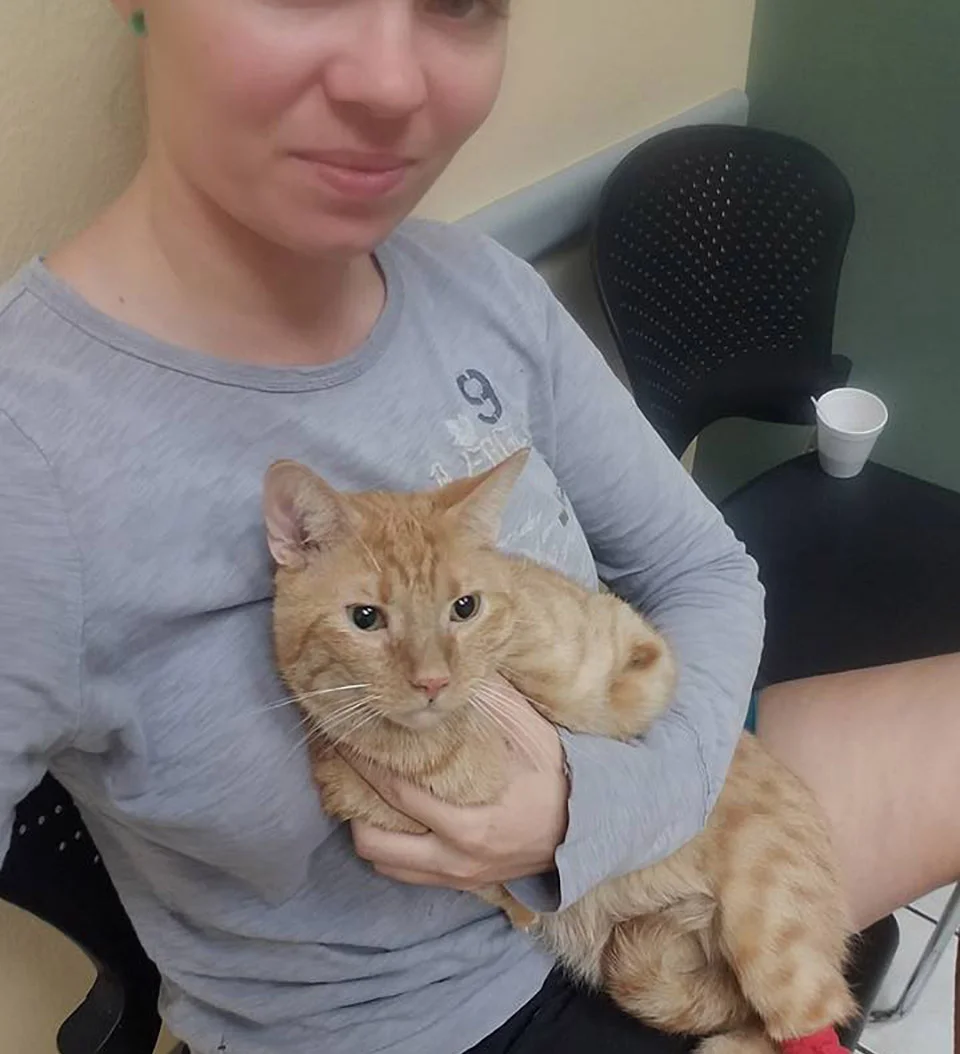 Gato que nació con 2 patas demuestra que no necesita de 4 patas para ser feliz 3 Joey y mamá