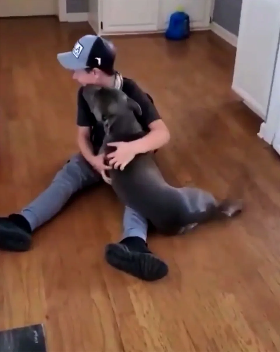 Niño rompe en llanto cuando vuelve a ver a su perro perdido hace mucho tiempo 1 Niño rompe en llanto al ver a su perro