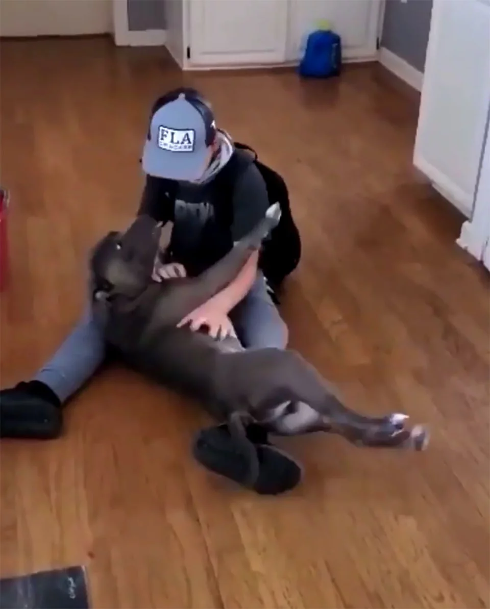 Niño rompe en llanto cuando vuelve a ver a su perro perdido hace mucho tiempo 2 Niño vuelve a ver a su perro perdido