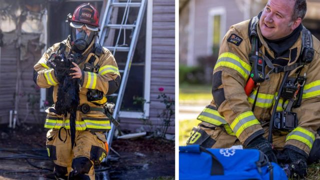 Sonrisa heroica bombero rescate gatito