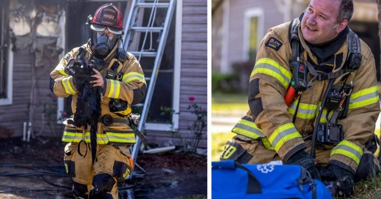 La sonrisa heroica de este bombero después de salvar al gato de una familia derretirá tu corazón