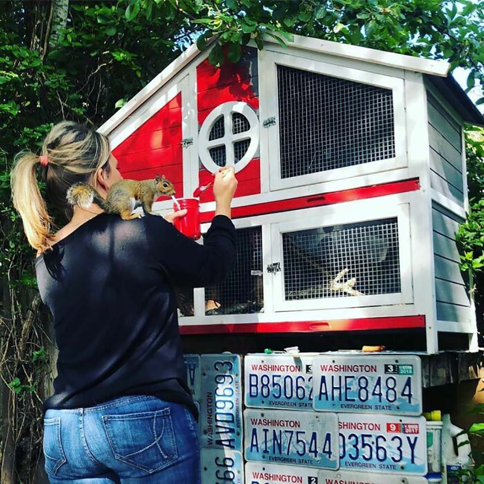Mujer ayuda a una ardilla bebé abandonada en la acera y años después todavía la visita 10 Casita en el jardín para ardilla
