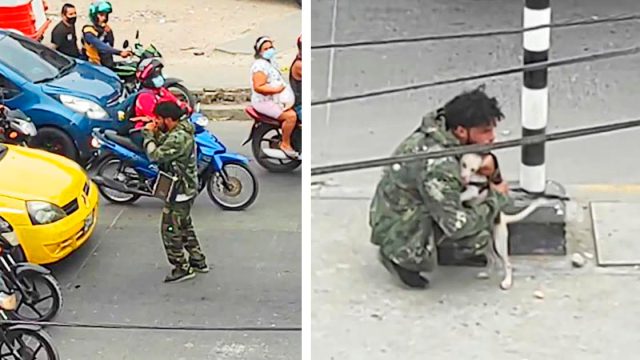 Perro consuela a un artista callejero que lucha después de que nadie le ofrece alguna moneda